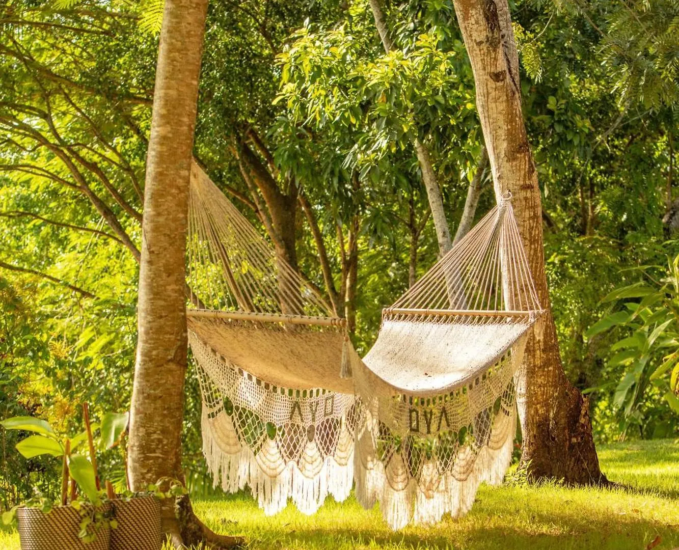 Oya - Wellness Eco Resort & Retreat Jamao al Norte 5*,  Dominikanische Republik